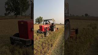 Download lagu Mulcher amm combine ali pralli te nhi chlda khlarni pendi aw #farmimplements #farmmachinery #mulcher mp3 Download lagu Mulcher amm combine ali pralli te nhi chlda khlarni pendi aw #farmimplements #farmmachinery #mulcher mp3