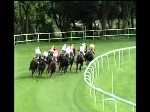 Alfkona - Prípravná cena