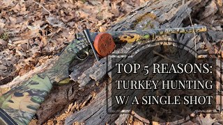 Top 5 Reasons to Turkey Hunt W/ A Single Shot