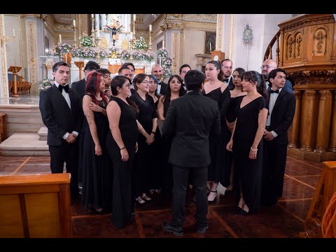 THE DEER'S CRY, Arvo Pärt - Amicitia Ensamble Coral