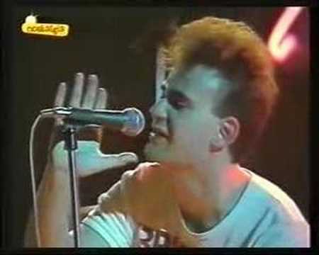 Siniestro Total  - Purdey