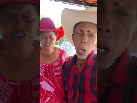 Video, criado dupra. Márcia, Valdeci, divisa, nova Minas Gerais.