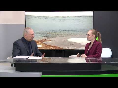 "Деловой разговор": о подготовке Бийска к половодью (Бийское телевидение)