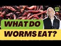 What Do Worms Eat? Best (and Worst) Foods Revealed