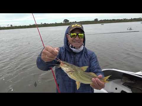 PESCA EN HELVECIA  - FIESTA NACIONAL DEL AMARILLO (La Previa)