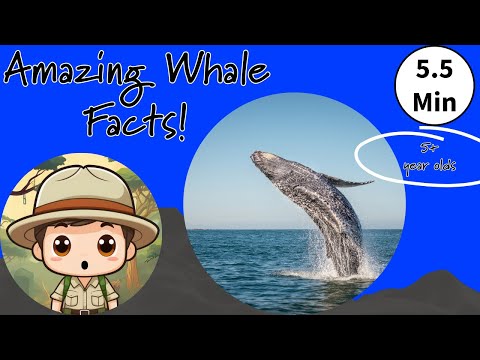 Amazing Whale Facts for Kids with Safari Ari!