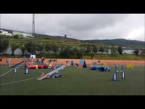 Narciso y Loba - Agility Grado 3 - 29 Abril 2017