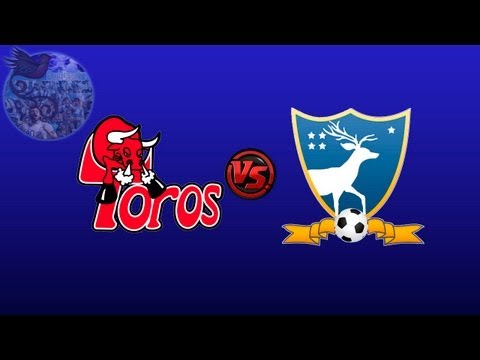 Malacateco 1 - 0 Suchitepéquez | Apertura 2013 - Jornada 11