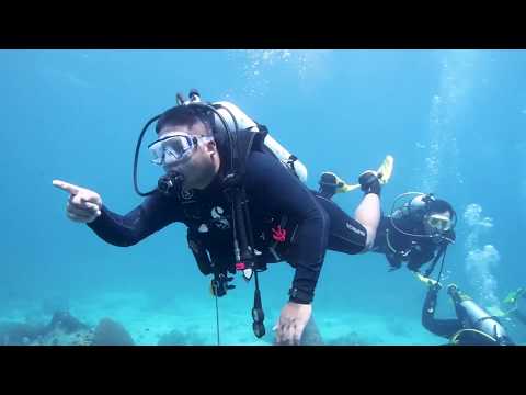 download lagu mp3 mp4 Koh Tang Diving, download lagu Koh Tang Diving gratis, unduh video klip Koh Tang Diving