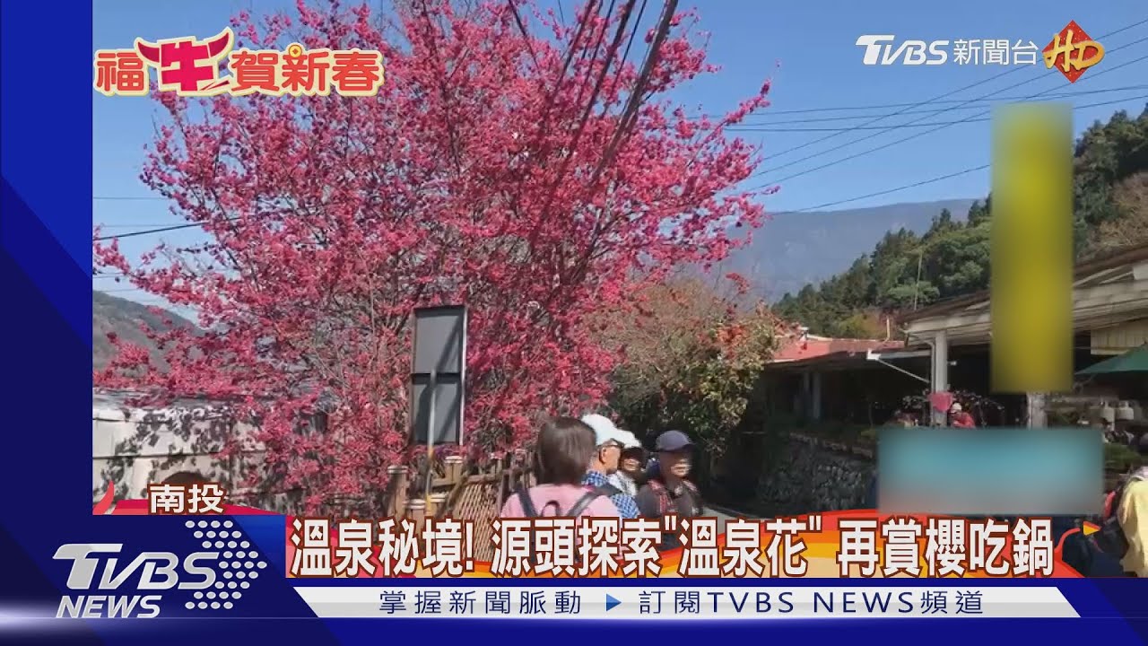 溫泉秘境!源頭探索「溫泉花」 再賞櫻吃鍋