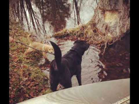 A Song For Claire (O Danny Boy)