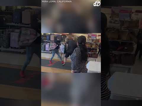 Customer knocks alleged thief to ground at T.J. Maxx store