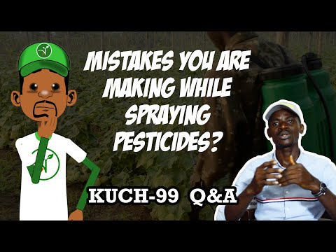 How to use pesticides effectively in my vegetable farm? Kuch-99 Q&A with Chidi Godson