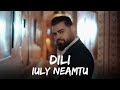 Iuly Neamtu - Dili | Versuri