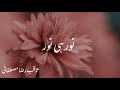 Noor Hi Noor Bahot Hi Khubsurat Waqiya Saqib Raza Mustafai WhatsApp Status Ziyawrites