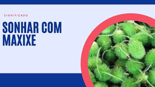 Sonhar com maxixe, maxixes significado completo