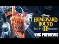 Homeward Bound 2 VHS Previews