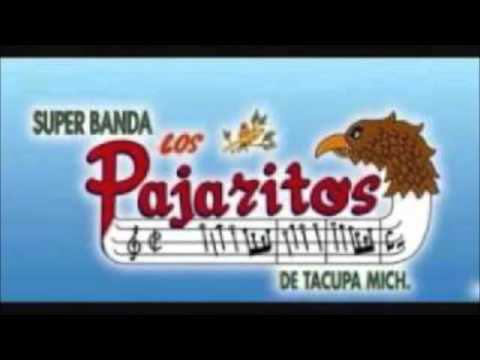 LOS PAJARITOS DE TACUPA EN VIVO DESDE ARROYO GRANDE GURRERO