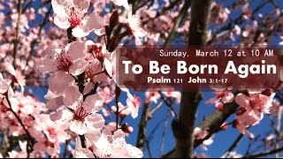To Be Born Again - Rev. Dae Jung