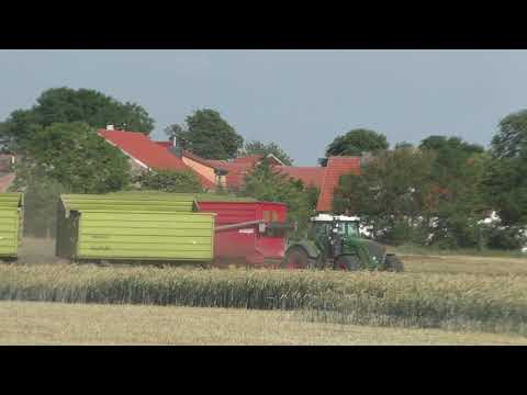 Die Raubkatze Claas Jaguar 980  Typ 498 mit Direct Disc 610 rast durchs Getreide GPS  Teil 2/2