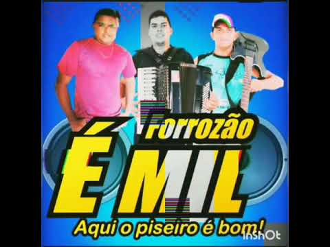 Forrozão é Mil vol 3