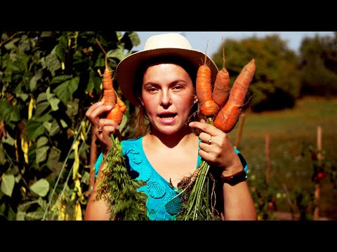 Permakultura - TAK czy NIE? Porównujemy uprawę w grządkach podniesionych i tradycyjnych