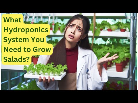 What Hydroponics System You Need to Grow food for Salads? Aerogarden? iDoo? Mufga? AHopeGarden?