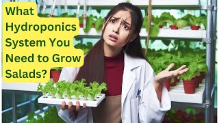 What Hydroponics System You Need to Grow food for Salads? Aerogarden? iDoo? Mufga? AHopeGarden?