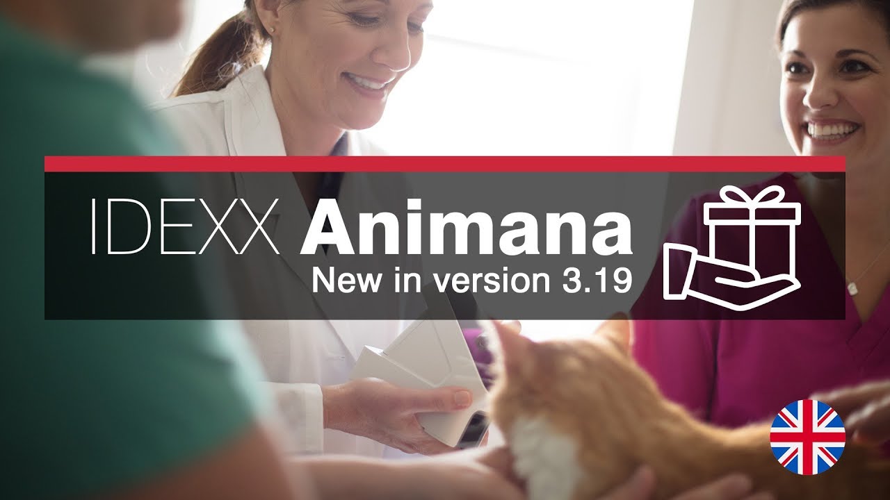 New in Animana 3.19