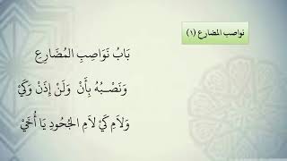 شرح نظم الآجرومية مع التشجير //42//الشيخ محمد محمود الشنقيطي image