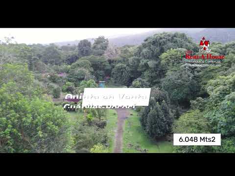 Imagen de Venta de Fincas en Guápiles - Pococí Guápiles - LIMÓN