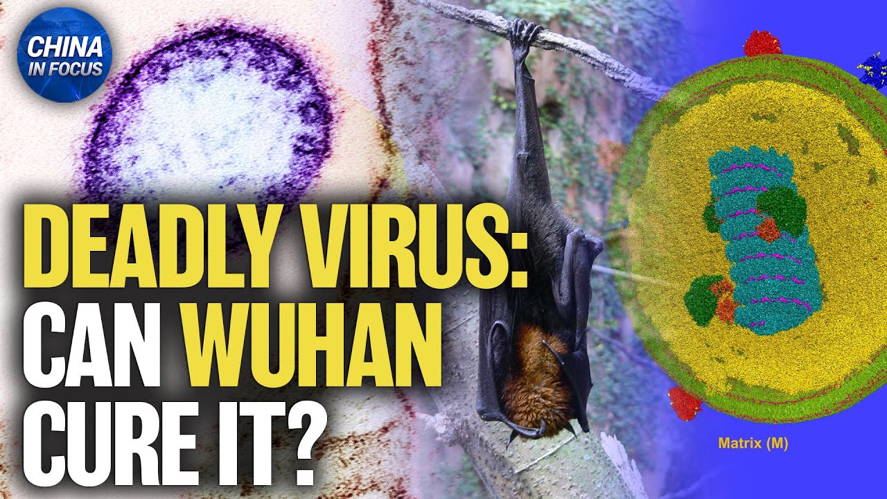 China Preps Nipah Virus Test Kits Despite Claiming No Cases | China in Focus