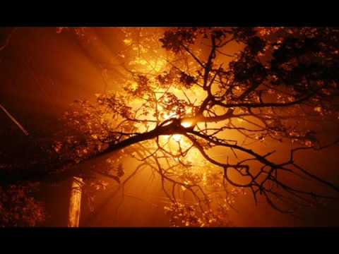 TRANCE VISIONS- Odyssee - 2 Morrow