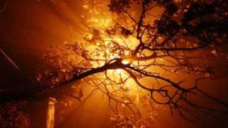 TRANCE VISIONS- Odyssee - 2 Morrow