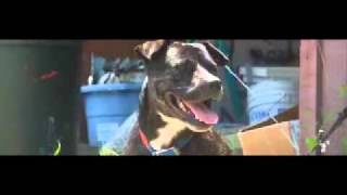 Hundredth - Remain & Sustain (New Video) "Let Go"