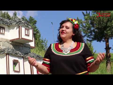 Мома кюстендилка - Дида Енева и формация "Звезди"