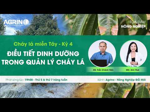 Tọa đàm sầu riêng - Agrino: CHÁY LÁ SẦU RIÊNG MIỀN TÂY KỲ 4 - ĐIỀU TIẾT DINH DƯỠNG TRONG QUẢN LÝ CHÁY LÁ 