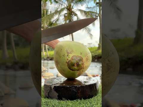 Sharp & Smooth — The Perfect Coconut Cut