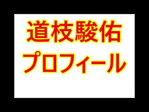 道枝駿佑・プロフィール（生年月日は？兄弟は？など）
