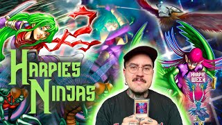 There is some Synergy between Ninjas and flying Girls?! | Goat Format Yu-Gi-Oh! | Dueling Book