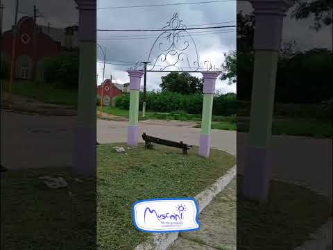 Limpieza y demalezado