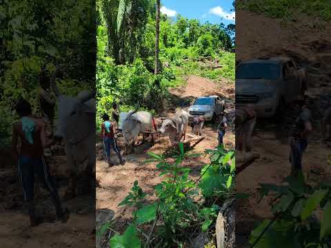 Feijó Acre