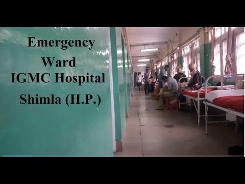 download lagu mp3 mp4 Shimla Hospital, download lagu Shimla Hospital gratis, unduh video klip Shimla Hospital