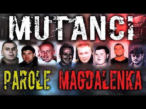 GANG MUTANTÓW • PAROLE • STRZELANINA W MAGDALENCE • MUTANCI • FRAGLES • GRUPA PIASTOWSKA • MAFIA 