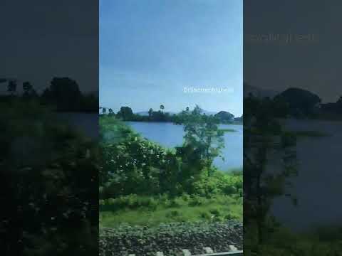 Green #DrSharmaMahesh #green#unique#travel #solo #big#railway#india#beautiful #hashtag#water#village
