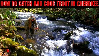 How to Catch & Cook Trout in Cherokee