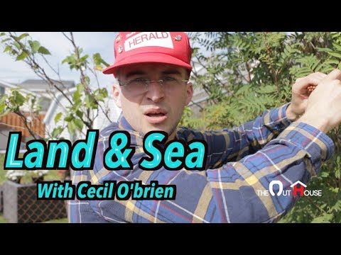Cecil O'Brien: Land & Sea