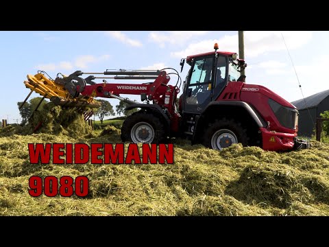 download lagu mp3 mp4 Grassmen, download lagu Grassmen gratis, unduh video klip Grassmen