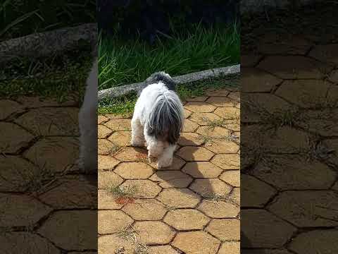 LUZ MINAS GERAIS 🙏 🙏