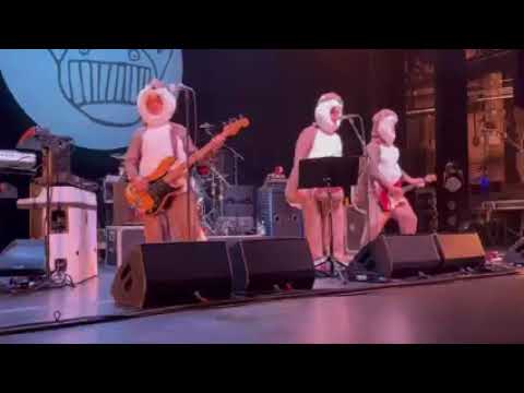 Ween - I’m Dancing In The Show Tonight- 2022-10-31 New York NY Beacon Theatre